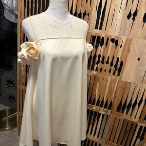 Cream Rose-Accent Mini Dress with Sheer Yoke